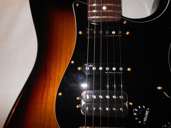 Mod Shop Stratocaster Picture 13